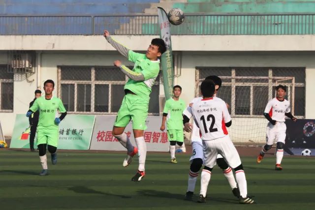 驴价飙升至20万元，加沙地区进入牲畜运输时代